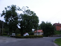 obec Stínava